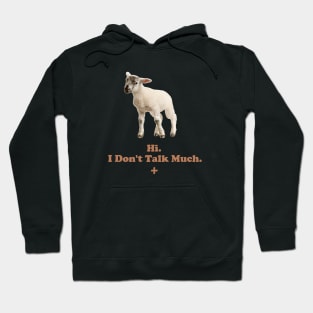 Hi. I Don't Talk Much. Hoodie